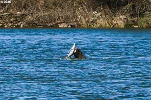 50350 Cowens Rd, Scappoose, OR 97056 - Photo 35
