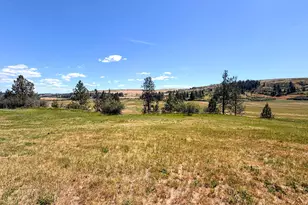 825 Palmer Junction Rd, Elgin, OR 97827 - Photo 5