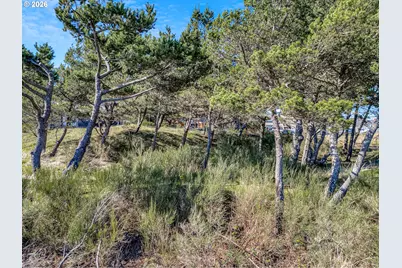 Wellington Ave, Gearhart, OR 97138 - Photo 11