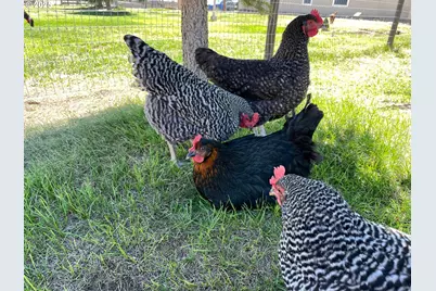 87479 N Star Ln, Christmas Valley, OR 97641 - Photo 27