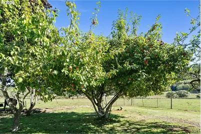 22600 Blaine Rd, Beaver, OR 97108 - Photo 47