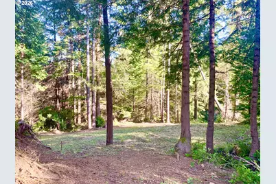 94278 Shotgun Dr, North Bend, OR 97459 - Photo 47