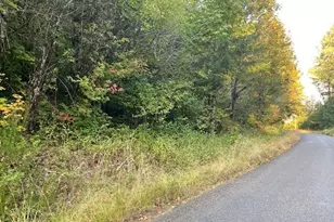 McGowan Creek, Springfield, OR 97478 - Photo 1