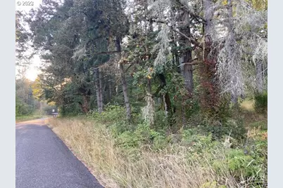 McGowan Creek, Springfield, OR 97478 - Photo 5