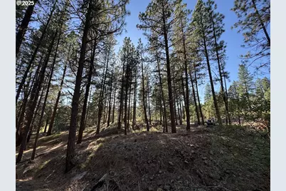 39612 Sumpter Valley Hwy, Baker City, OR 97814 - Photo 33