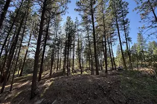 39612 Sumpter Valley Hwy, Baker City, OR 97814 - Photo 33