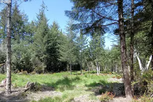 47615 Oregon Coast Hwy, Bandon, OR 97411 - Photo 37