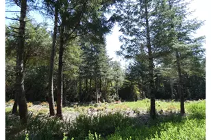 47615 Oregon Coast Hwy, Bandon, OR 97411 - Photo 35