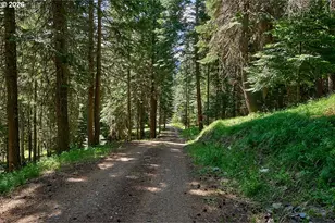 64368 Tamarack Rd, Lostine, OR 97857 - Photo 39