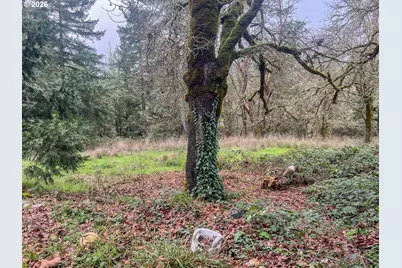 1698 Doerner Rd, Roseburg, OR 97471 - Photo 5