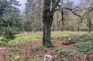 1698 Doerner Rd, Roseburg, OR 97471 - Photo 5