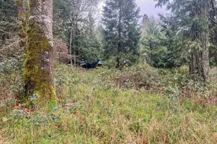 1698 Doerner Rd, Roseburg, OR 97471 - Photo 11