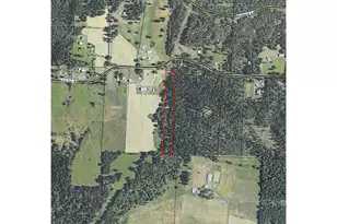 1698 Doerner Rd, Roseburg, OR 97471 - Photo 15