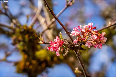 20386 SW Jay St, Beaverton, OR 97003 - Photo 41