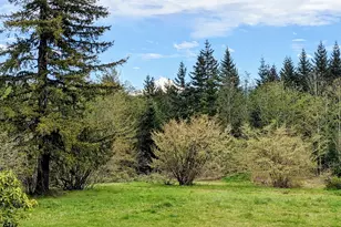 25751 SE Brian Ranch Rd, Sandy, OR 97055 - Photo 39