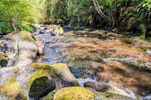 25751 SE Brian Ranch Rd, Sandy, OR 97055 - Photo 41