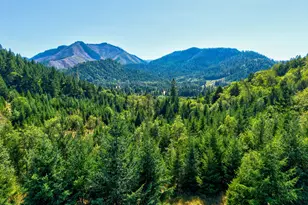 1517 Quines Creek Rd, Azalea, OR 97410 - Photo 13