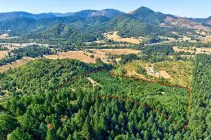 1517 Quines Creek Rd, Azalea, OR 97410 - Photo 9