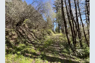 Ns, Forest Grove, OR 97116 - Photo 3