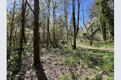 Ns, Forest Grove, OR 97116 - Photo 11