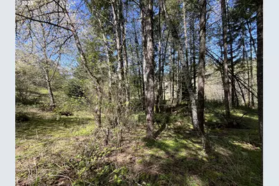 Ns, Forest Grove, OR 97116 - Photo 7