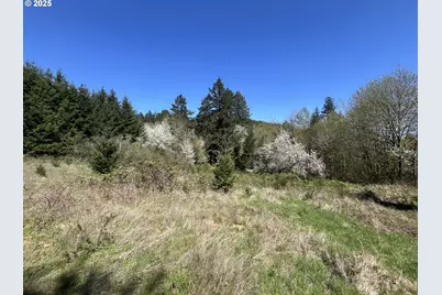 Ns, Forest Grove, OR 97116 - Photo 1