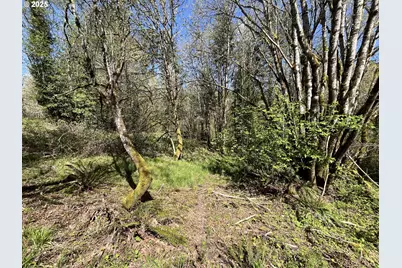 Ns, Forest Grove, OR 97116 - Photo 9