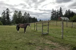 29509 NE Timmen Rd, Ridgefield, WA 98642 - Photo 35