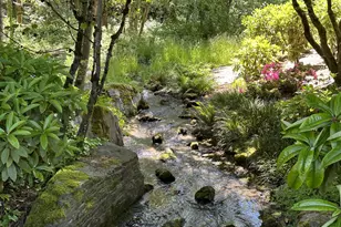 6685 W Burnside St, Portland, OR 97210 - Photo 23