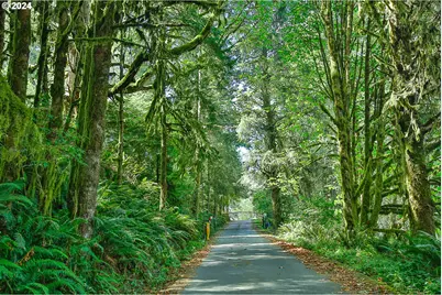 311 Council Hill Rd, Lakeside, OR 97449 - Photo 3