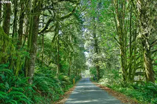 311 Council Hill Rd, Lakeside, OR 97449 - Photo 3