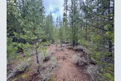 Schoonover 8 #2900, Crescent, OR 97733 - Photo 21