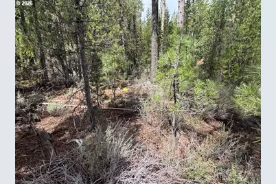 Schoonover 8 #2900, Crescent, OR 97733 - Photo 27