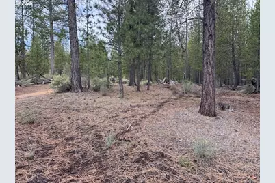 Schoonover 8 #2900, Crescent, OR 97733 - Photo 5