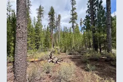Schoonover 8 #2900, Crescent, OR 97733 - Photo 33