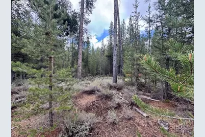 Schoonover 8 #2900, Crescent, OR 97733 - Photo 17