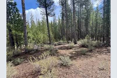 Schoonover 8 #2900, Crescent, OR 97733 - Photo 29