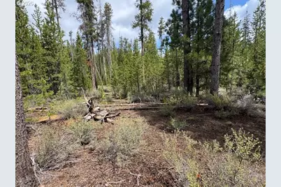 Schoonover 8 #2900, Crescent, OR 97733 - Photo 31