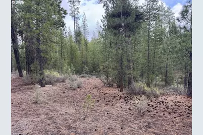 Schoonover 8 #2900, Crescent, OR 97733 - Photo 3