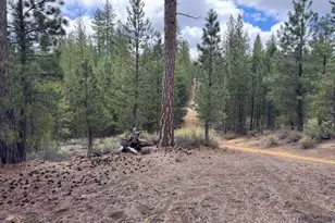 Schoonover 8, Crescent, OR 97733 - Photo 1