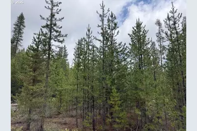 Schoonover 8 #2900, Crescent, OR 97733 - Photo 15
