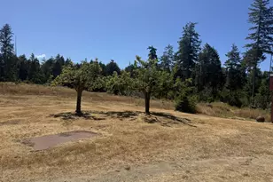 88640 Bill Creek Ln, Bandon, OR 97411 - Photo 3