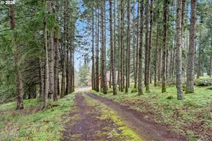 6683 Indian Springs Rd NE, Scotts Mills, OR 97375 - Photo 37