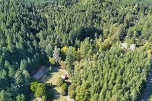 78548 Rat Creek Rd, Cottage Grove, OR 97424 - Photo 5