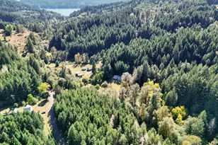 78548 Rat Creek Rd, Cottage Grove, OR 97424 - Photo 33