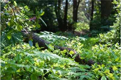 88675 Whiting Ln, Bandon, OR 97411 - Photo 37