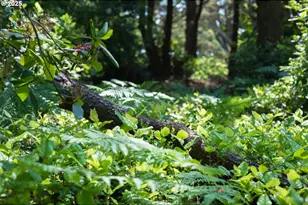 88675 Whiting Ln, Bandon, OR 97411 - Photo 37