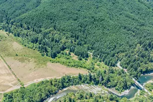45651 Johnson Mountain Rd, Powers, OR 97466 - Photo 11