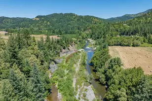 45651 Johnson Mountain Rd, Powers, OR 97466 - Photo 27