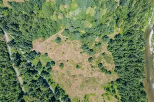 45651 Johnson Mountain Rd, Powers, OR 97466 - Photo 23